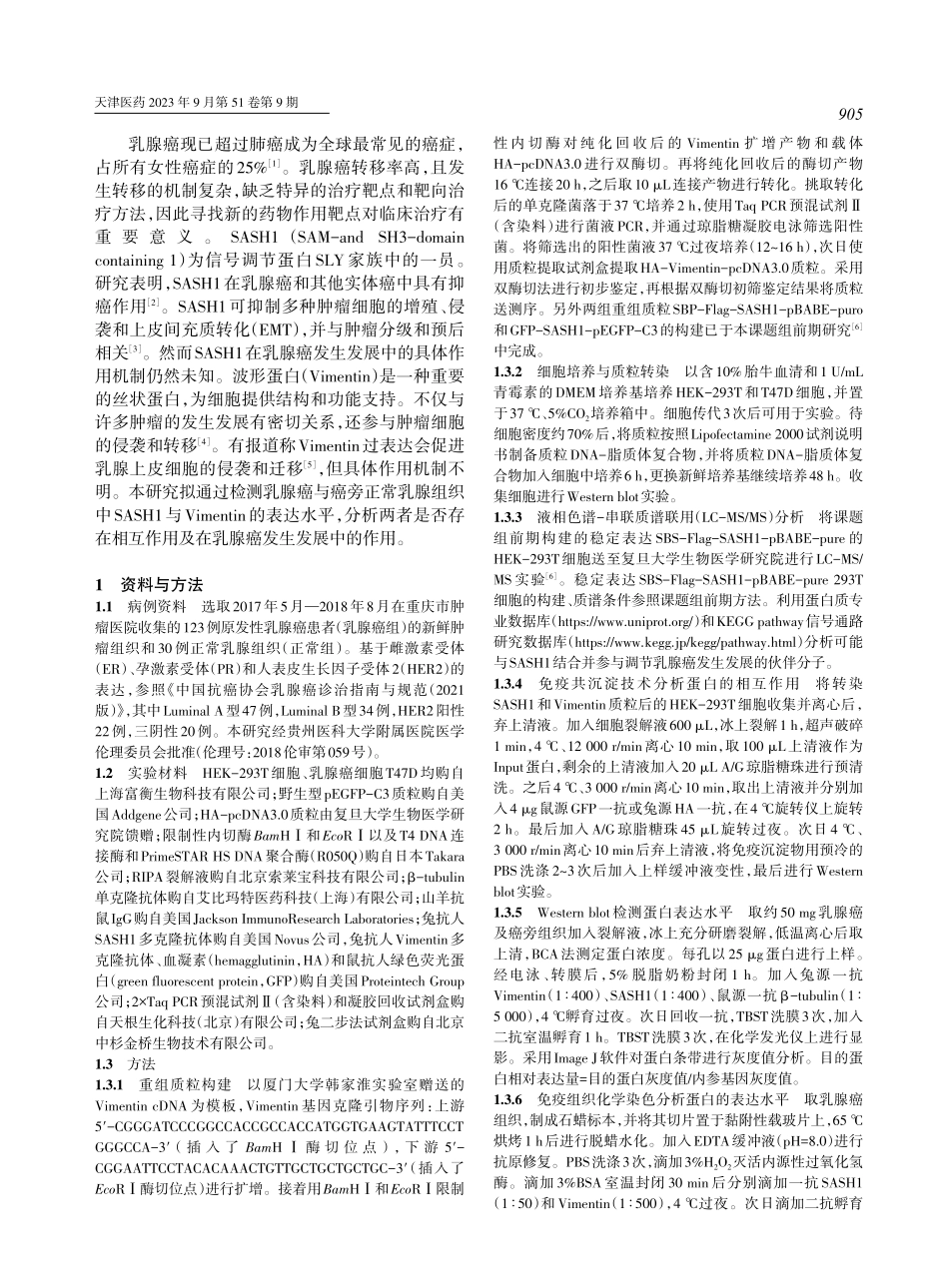 抑癌基因SASH1在乳腺癌中结合Vimentin并负性调节Vimentin的表达.pdf_第2页