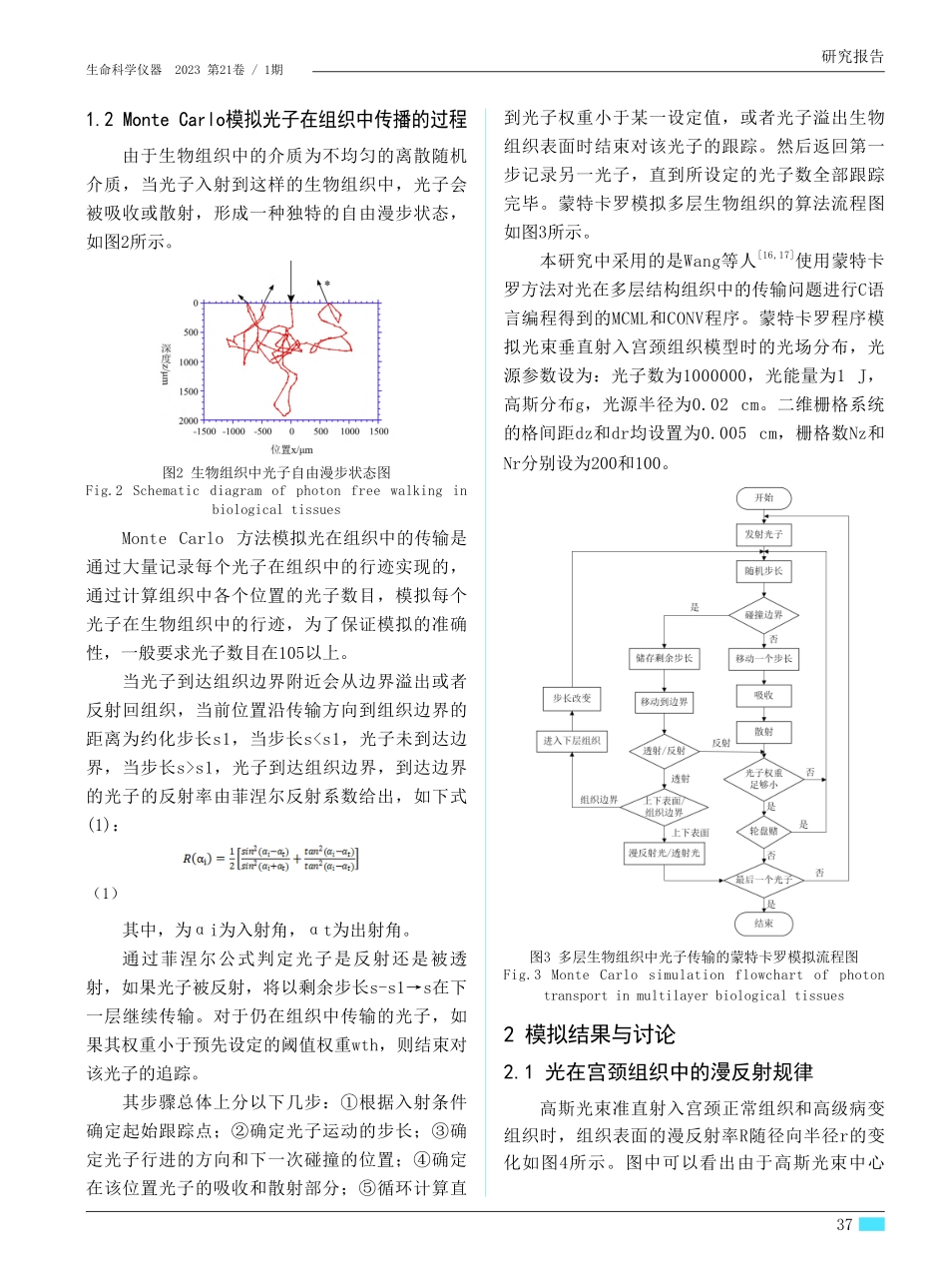光在宫颈组织中传输特性的蒙特卡罗模拟.pdf_第3页