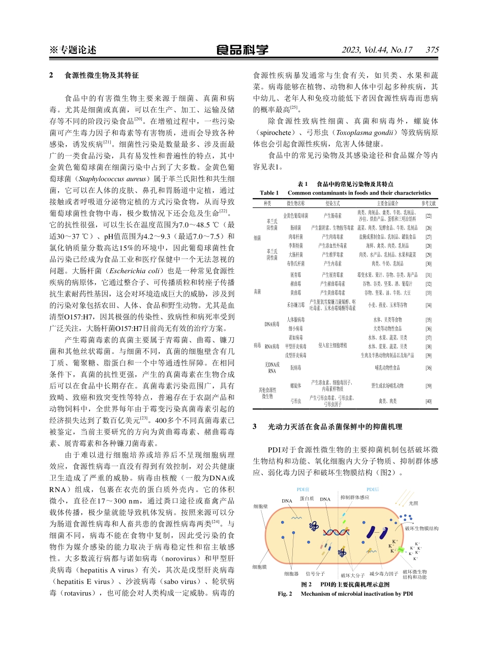 光动力灭活在食品杀菌保鲜中的研究进展.pdf_第3页
