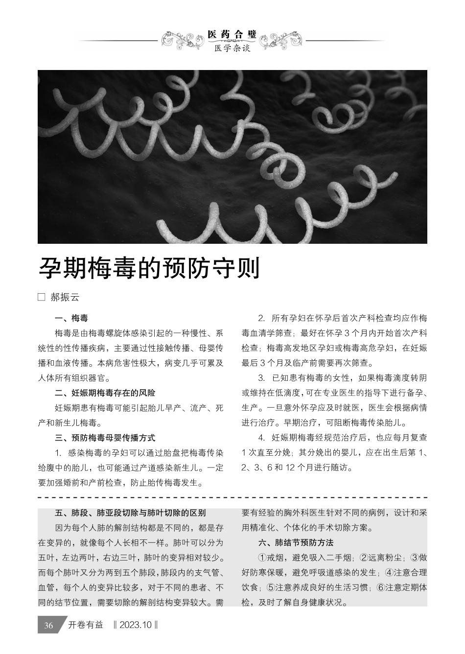 关注肺结节.pdf_第2页