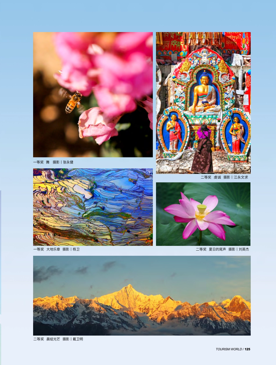 光影世界等你来%21 (1).pdf_第2页