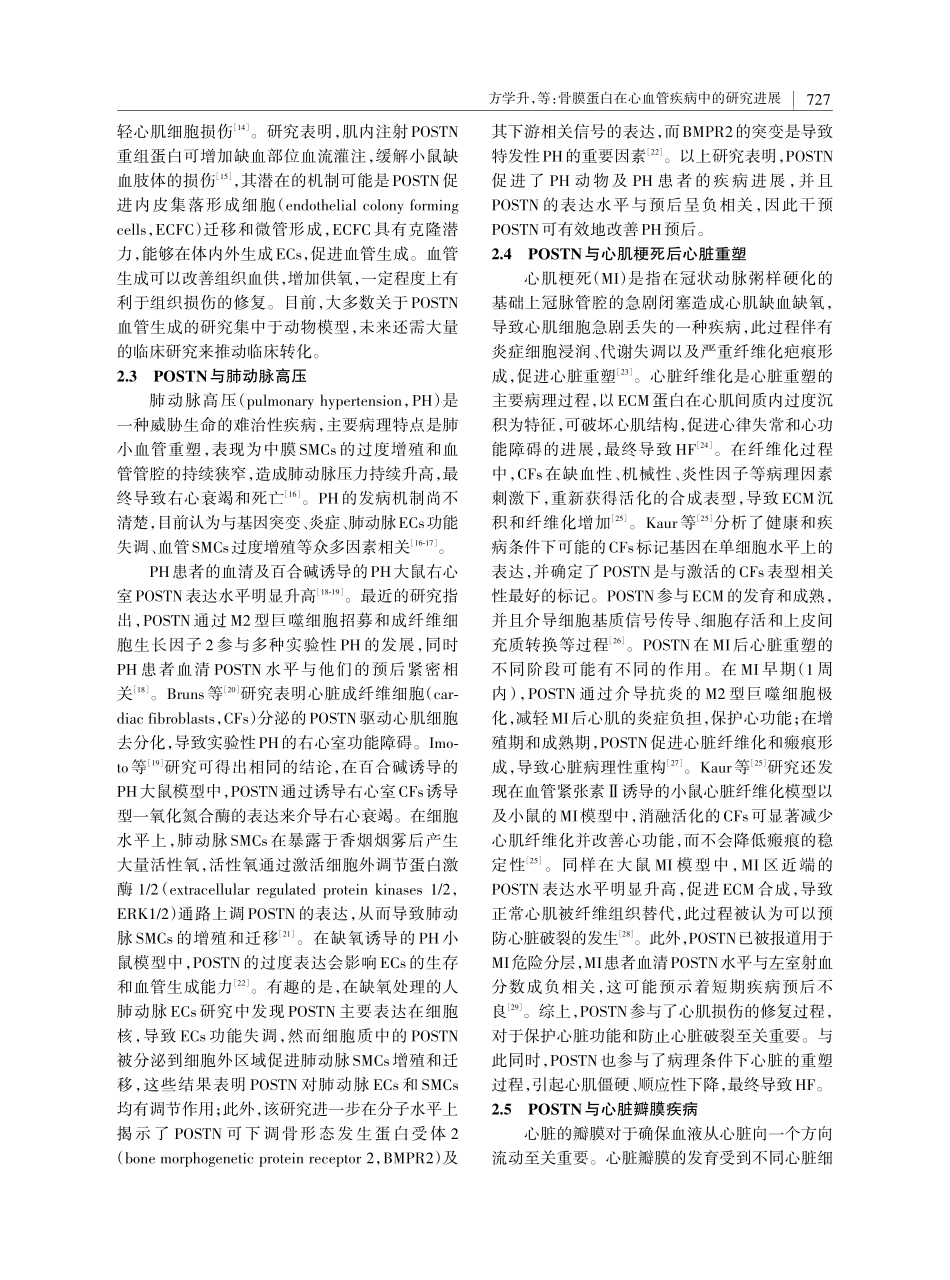 骨膜蛋白在心血管疾病中的研究进展.pdf_第3页