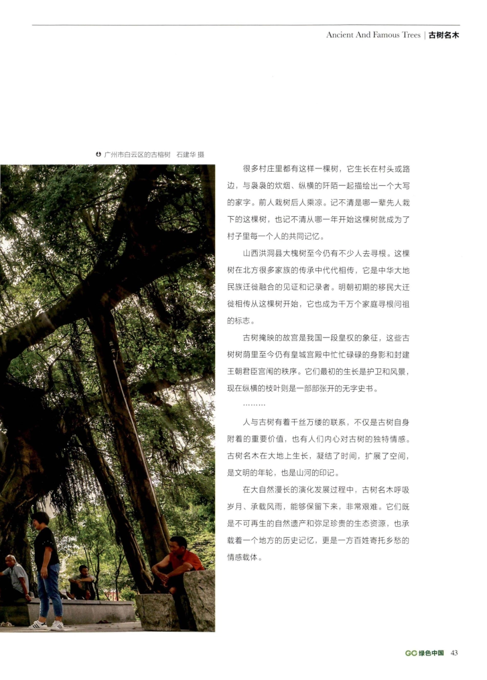 古树名木岁月沧桑文明印记.pdf_第2页