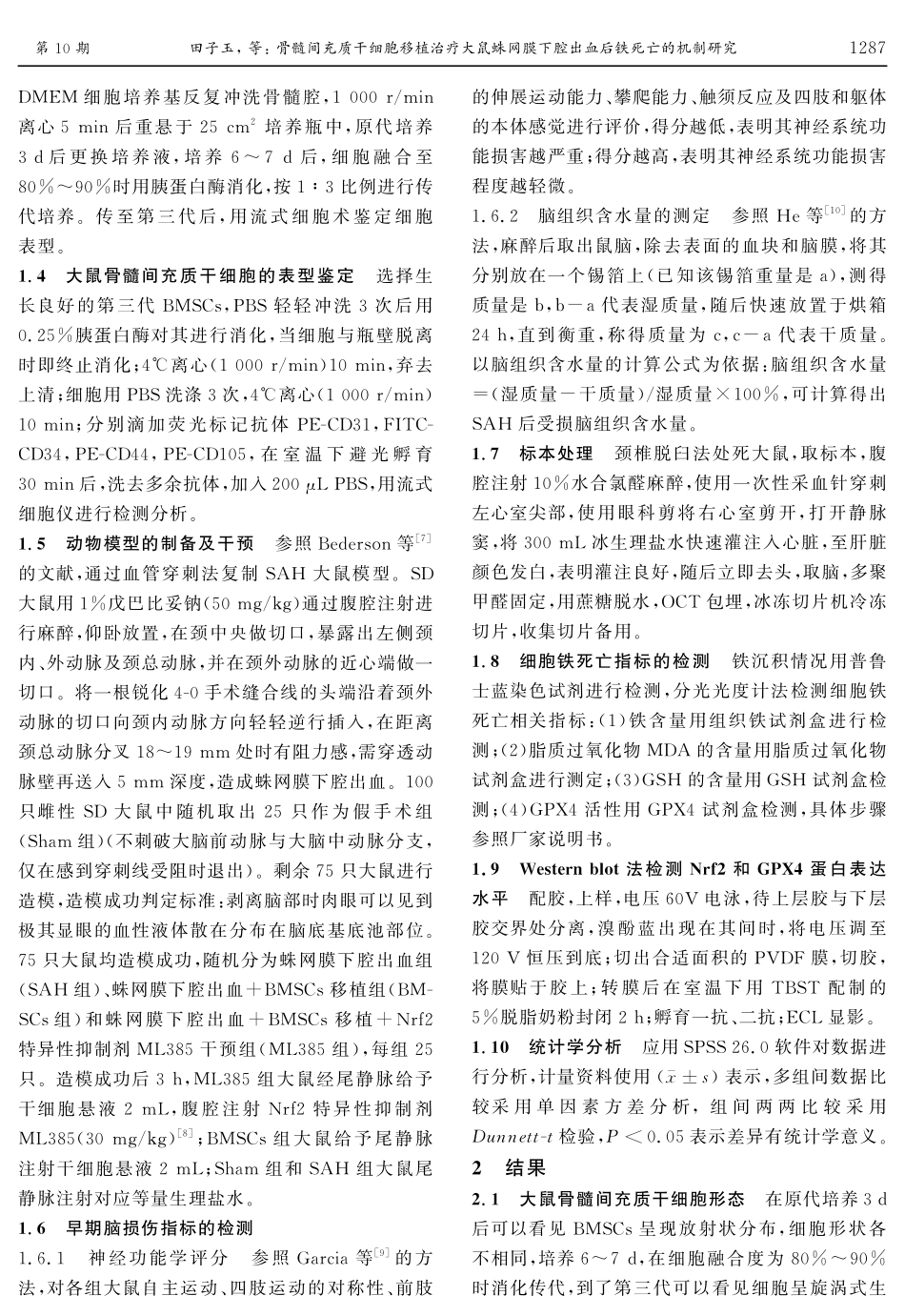 骨髓间充质干细胞移植治疗大鼠蛛网膜下腔出血后铁死亡的机制研究.pdf_第3页