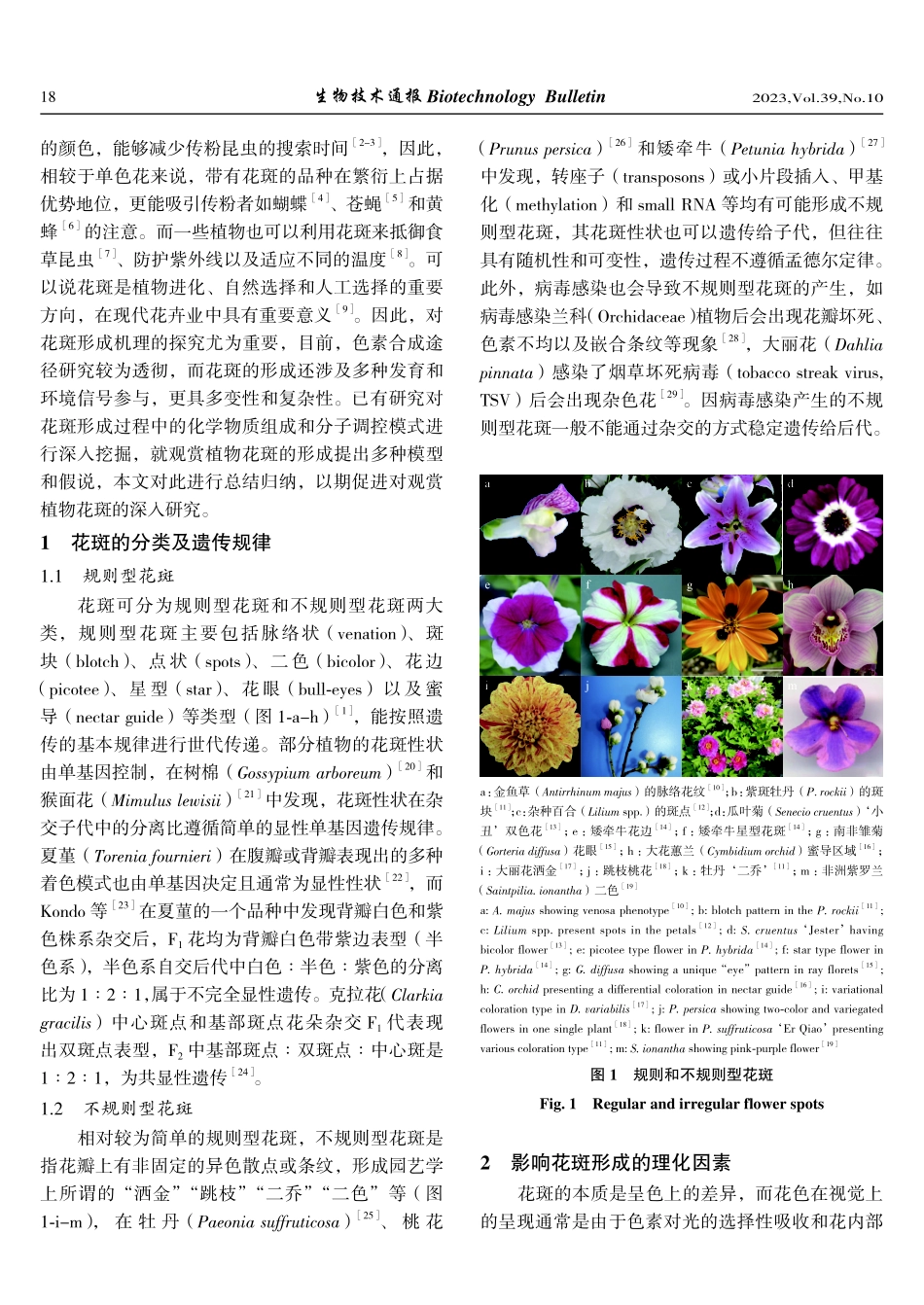 观赏植物花斑形成调控机制的研究进展.pdf_第2页