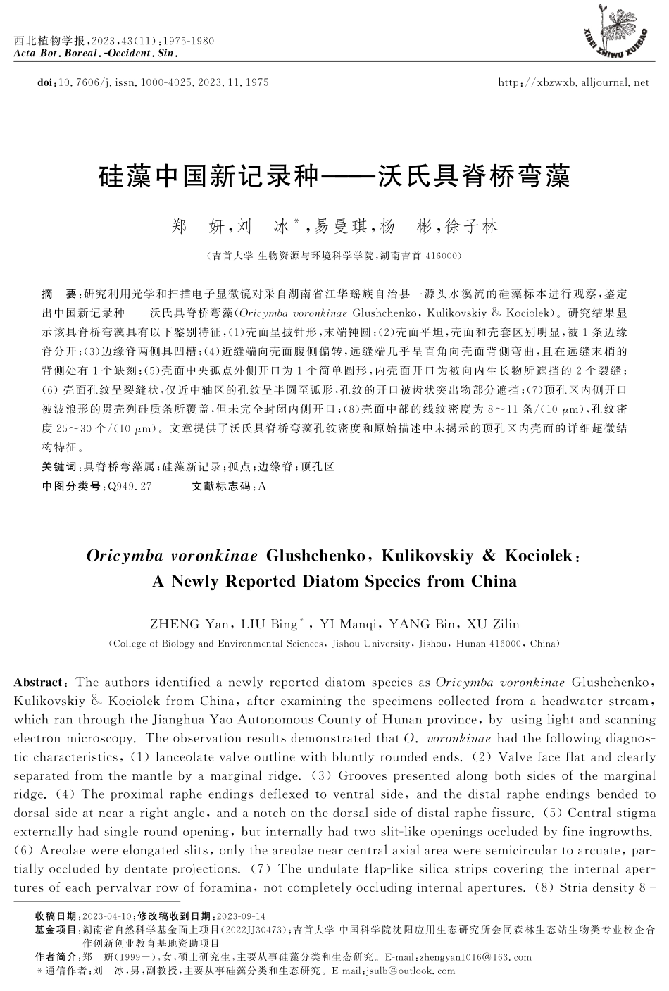 硅藻中国新记录种——沃氏具脊桥弯藻.pdf_第1页