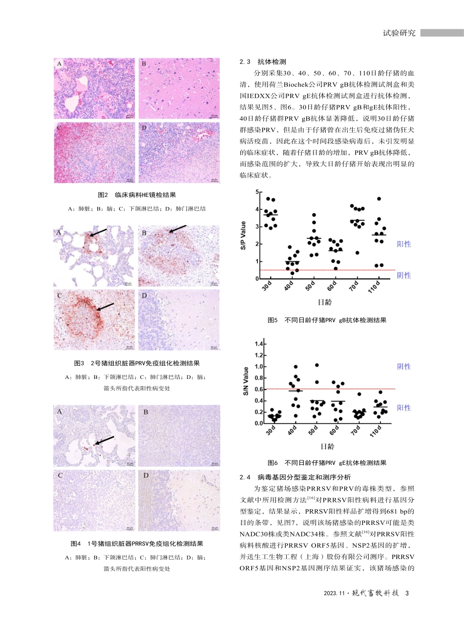 规模化猪场猪伪狂犬病和猪繁殖与呼吸综合征的诊断及防控效果评估.pdf_第3页