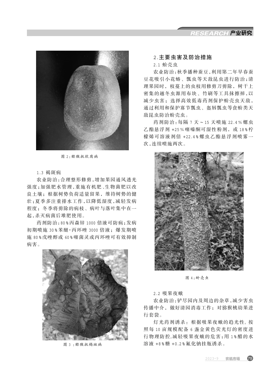 贵阳地区猕猴桃主要病虫害防治及灾后管理技术措施.pdf_第2页