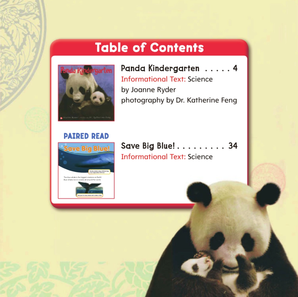 Panda Kindergarten.pdf_第3页