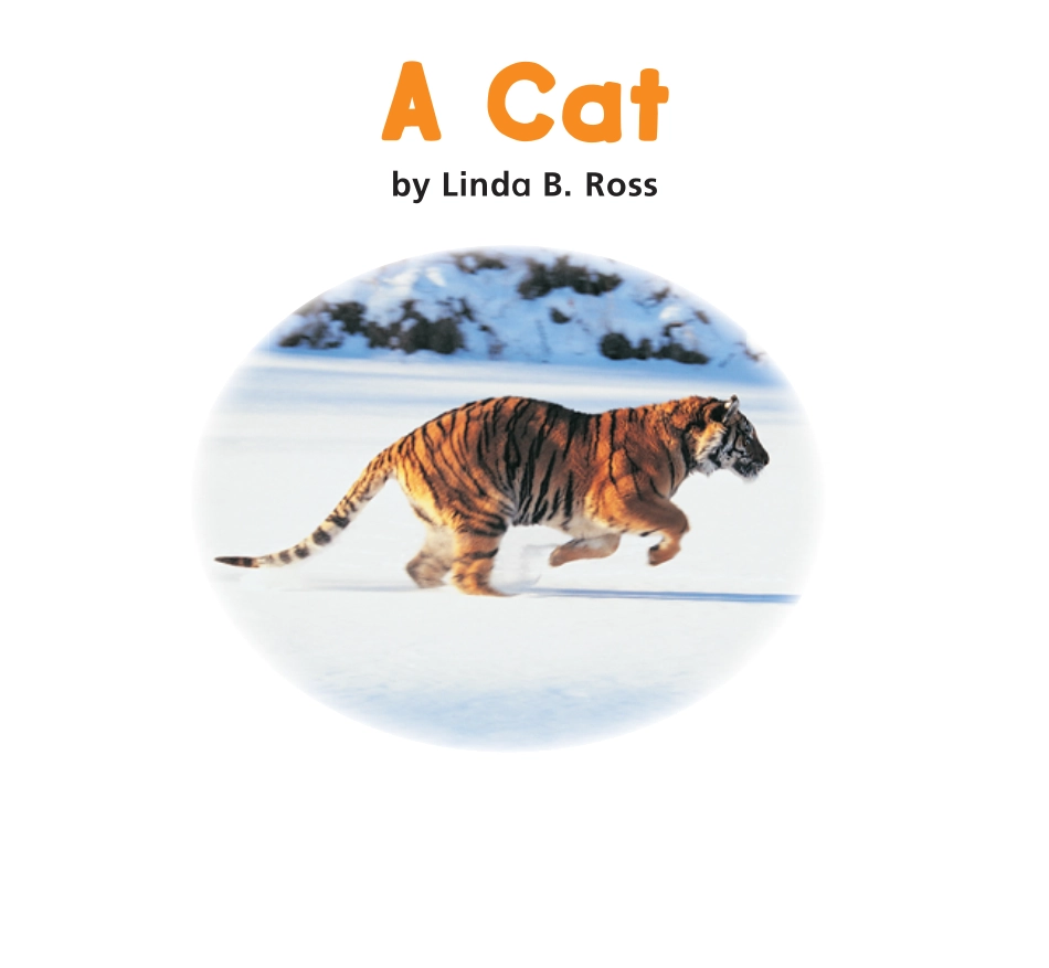 01 A Cat.pdf_第3页