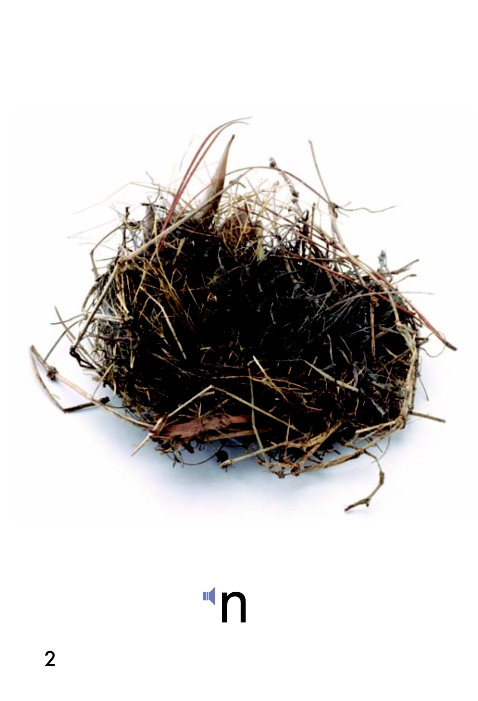 9780153583629.pdf_第3页