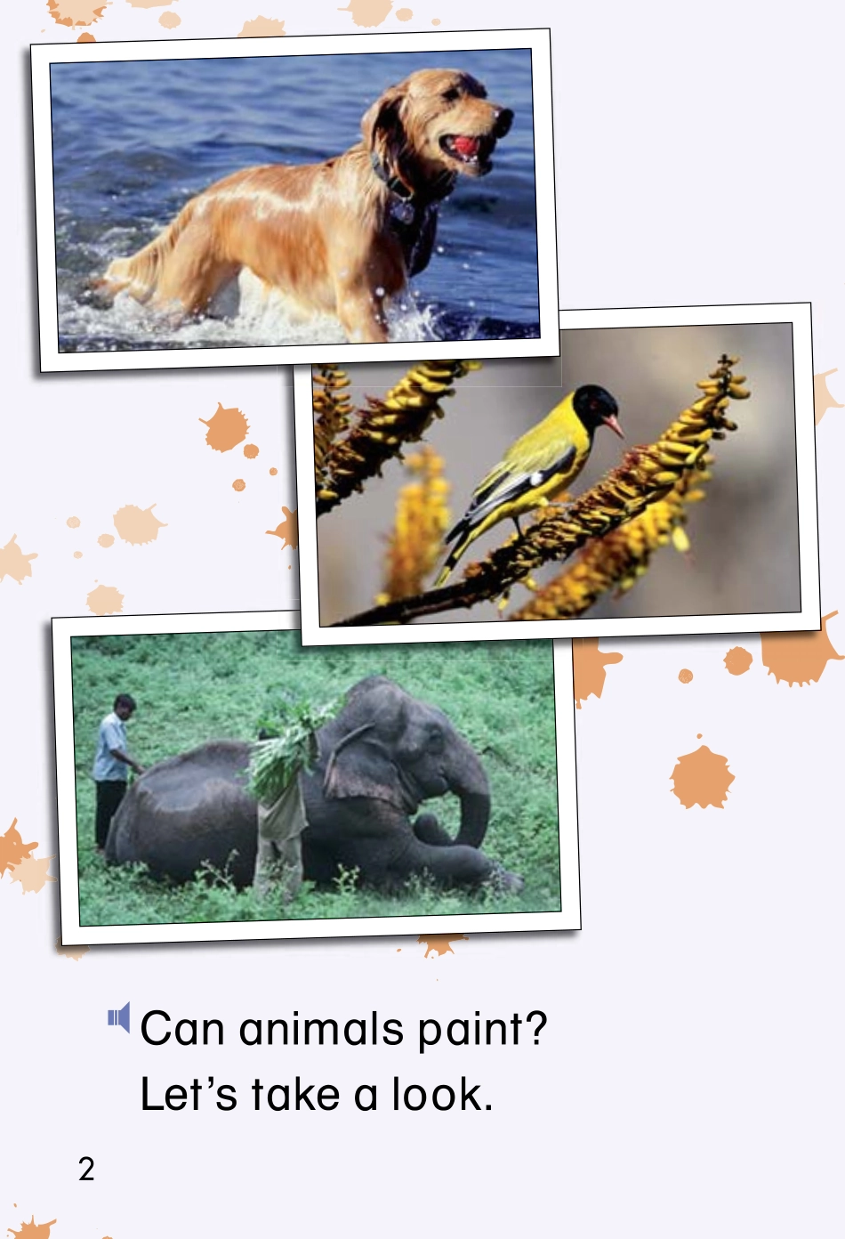 9780153506208.pdf_第3页