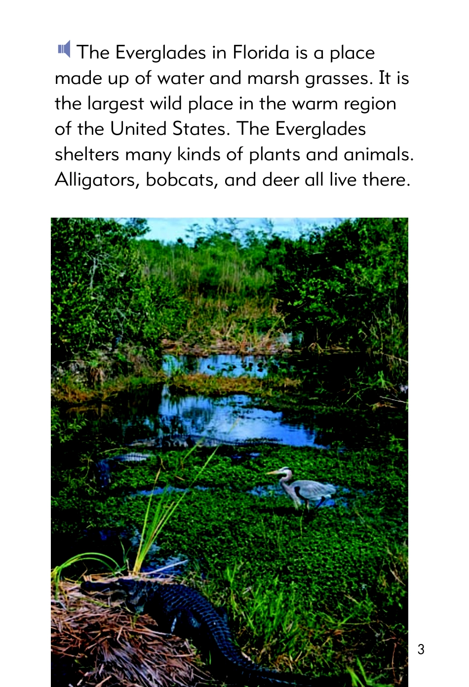 9780153504983.pdf_第3页