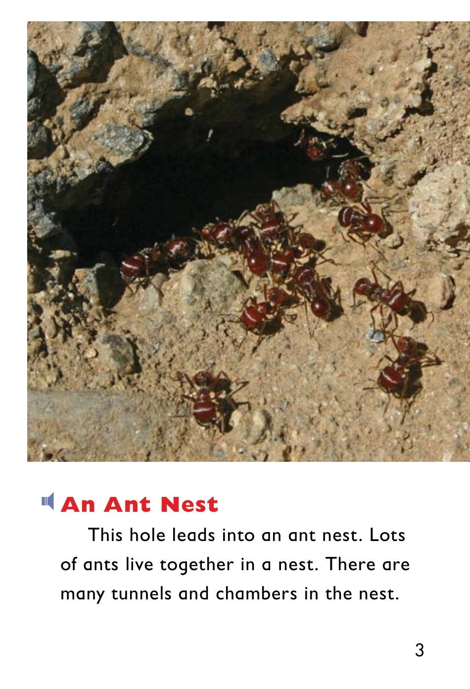 9780153506567.pdf_第3页