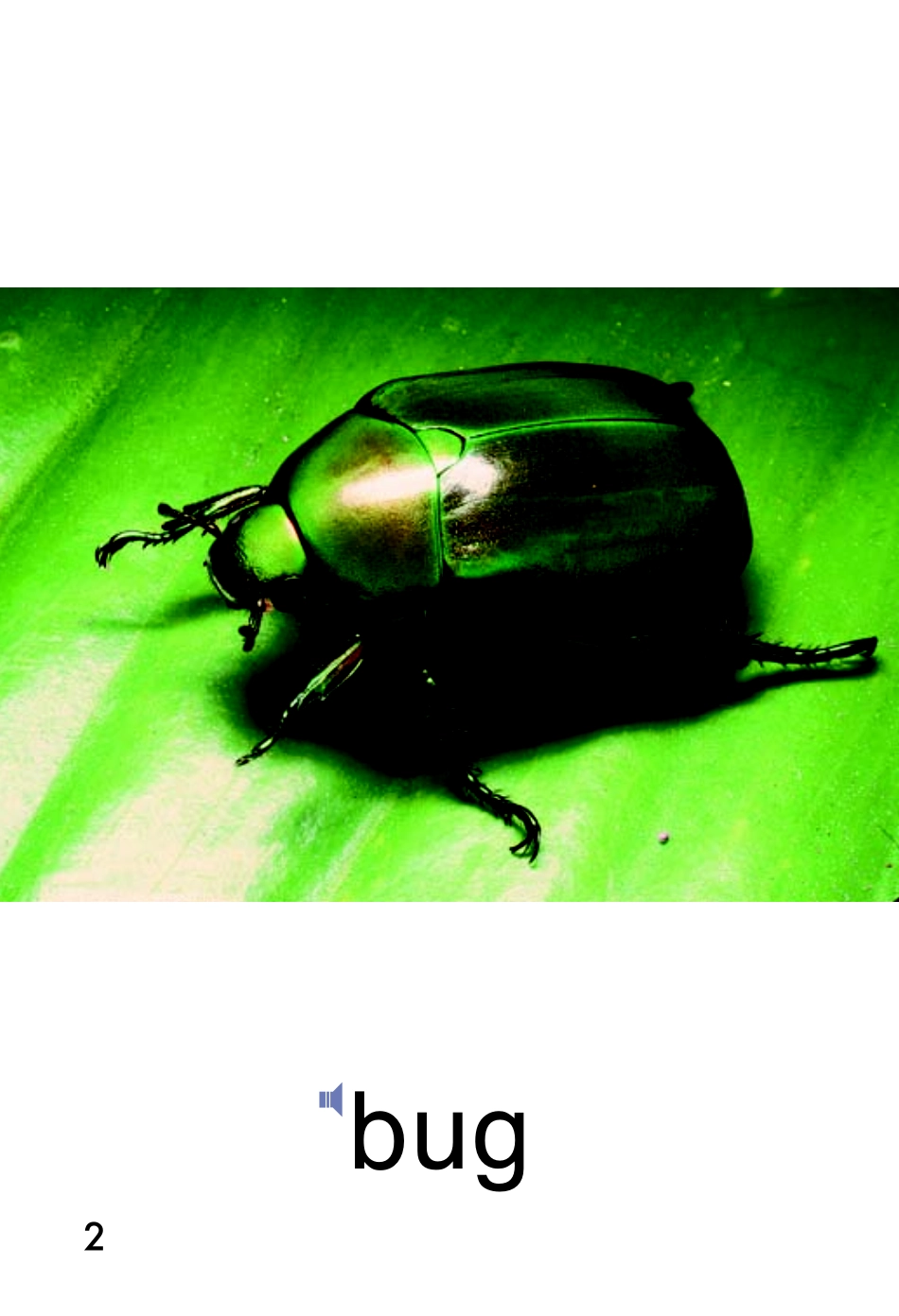 9780153583865.pdf_第3页