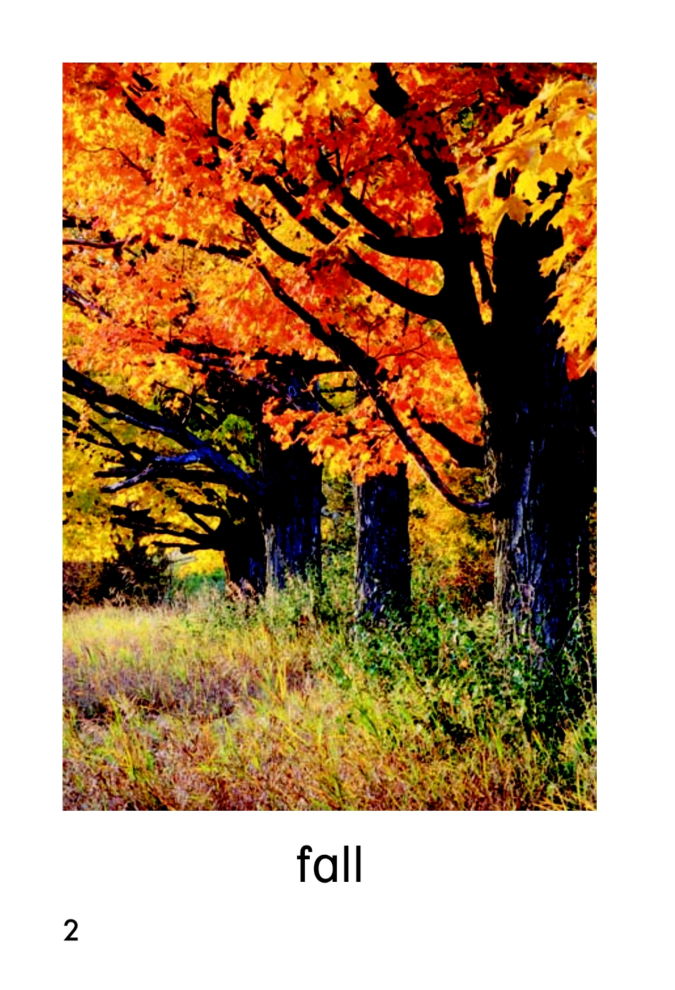 9780153584923_noaudio.pdf_第3页