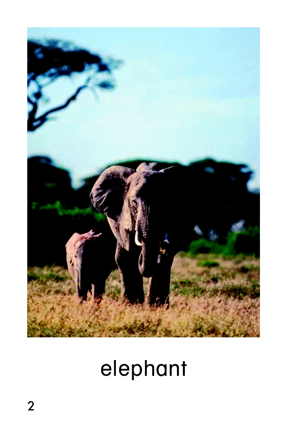 9780153585098_noaudio.pdf_第3页