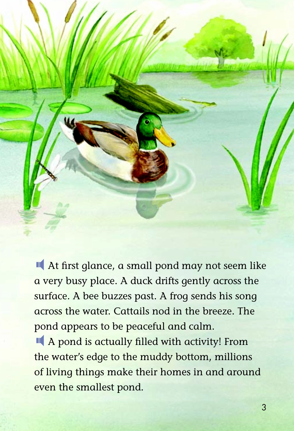 9780153515064.pdf_第3页