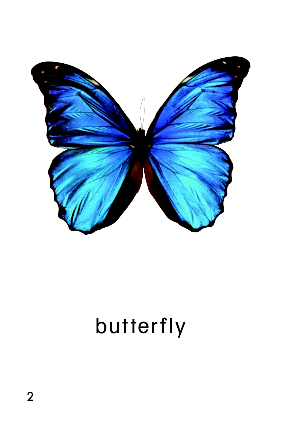 9780153585111_noaudio.pdf_第3页