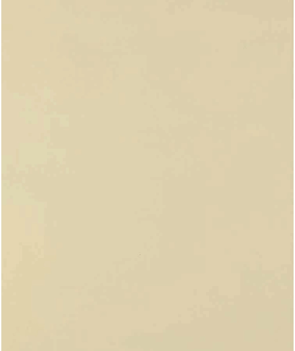 Alicia's Happy Day.pdf_第2页