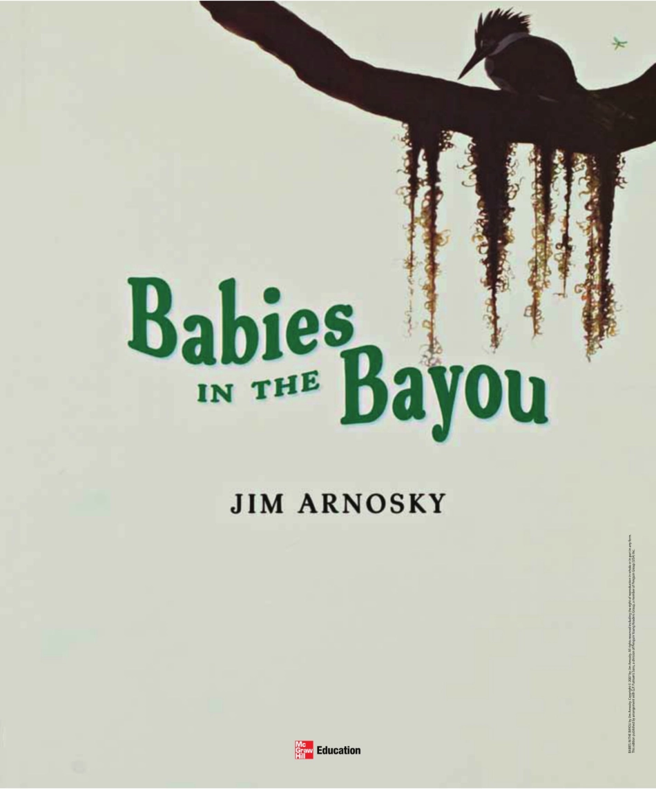 Babies in the Bayou.pdf_第3页