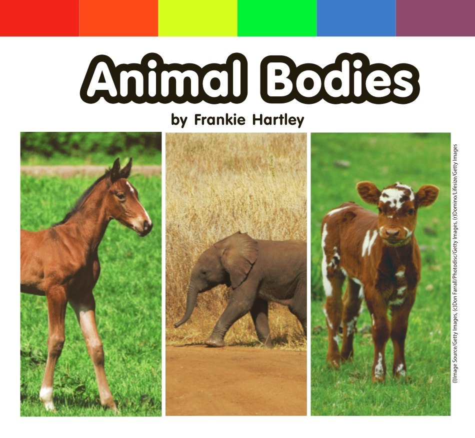 MHE_Rdg_Wonders_LvRdr_GK_ELL_U07W1_19.pdf_第3页