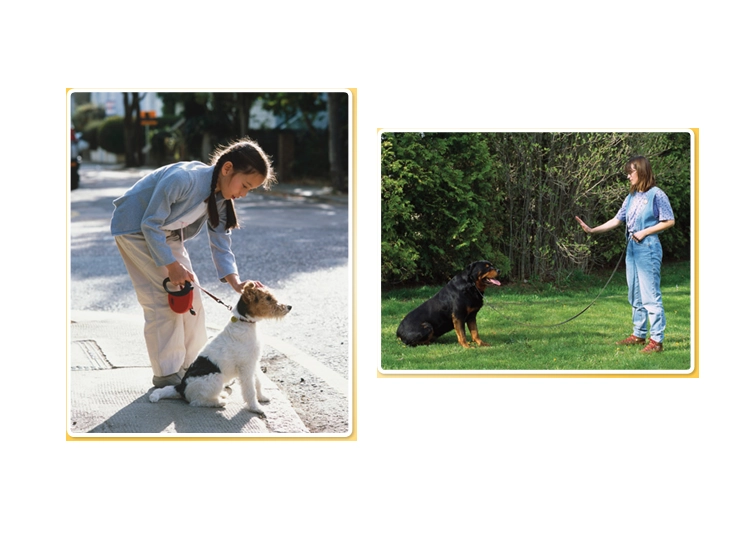 Retelling Cards-Teach a Dog!.pdf_第3页