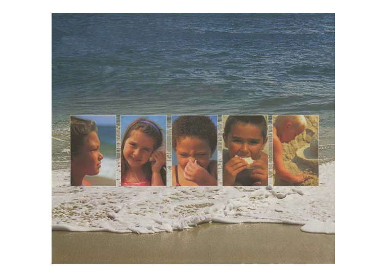 Senses at the Seashore.pdf_第3页