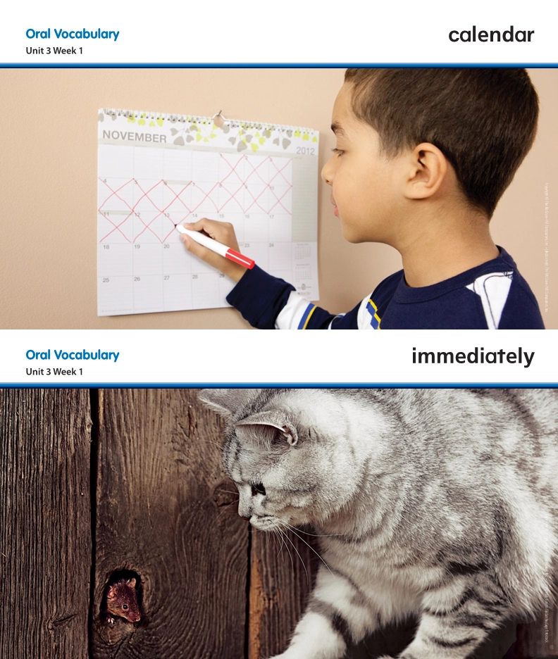 U3 Visual Vocabulary Card.pdf_第1页
