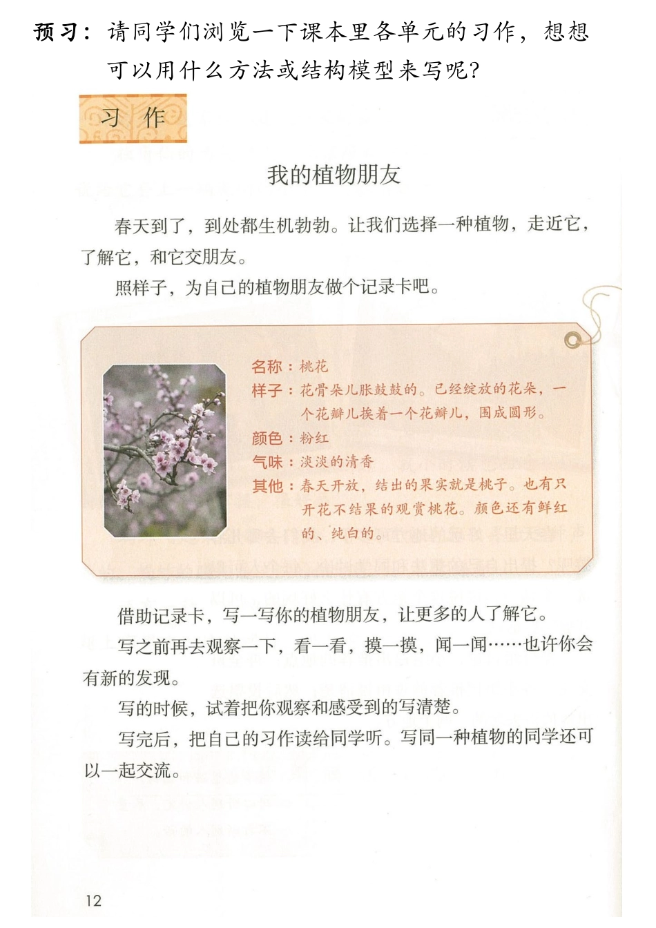 三下 第8课预习材料.pdf_第1页