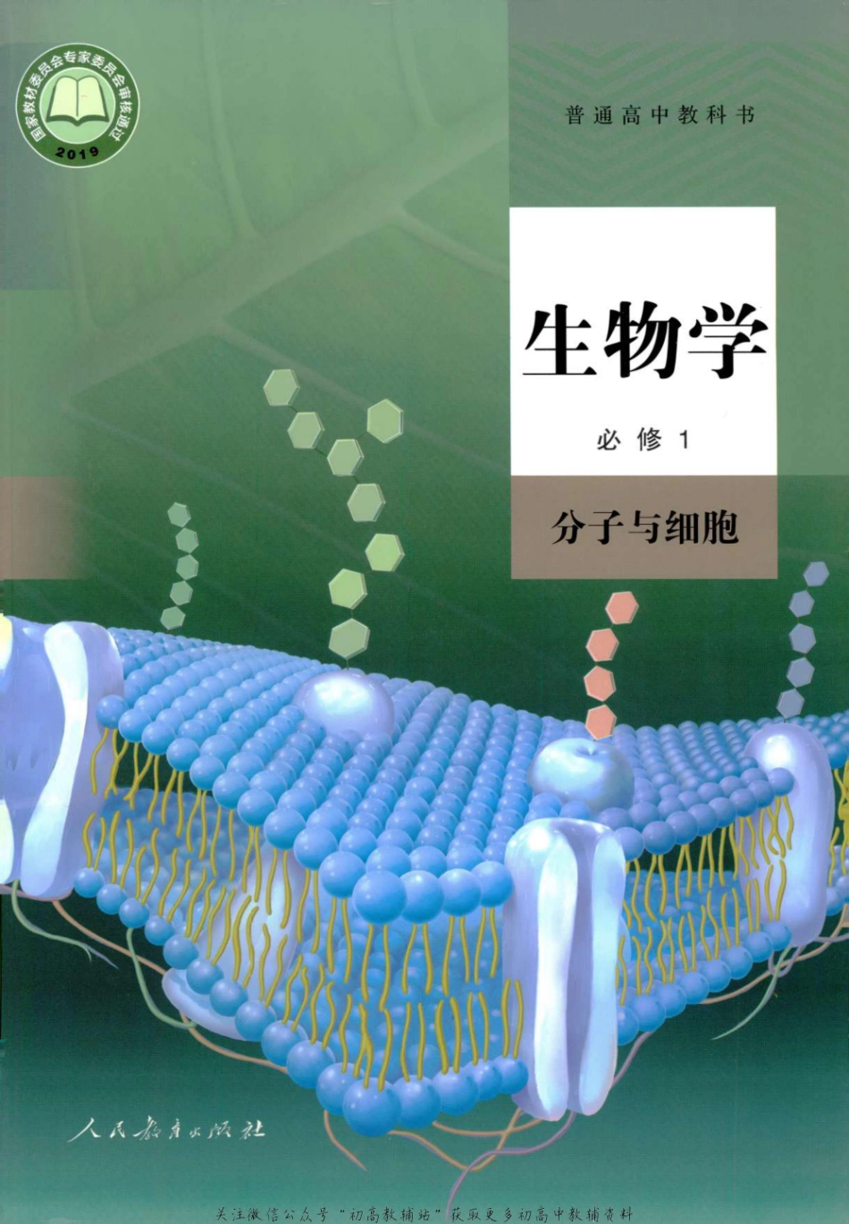 （新版） 必修1 分子与细胞.pdf_第1页