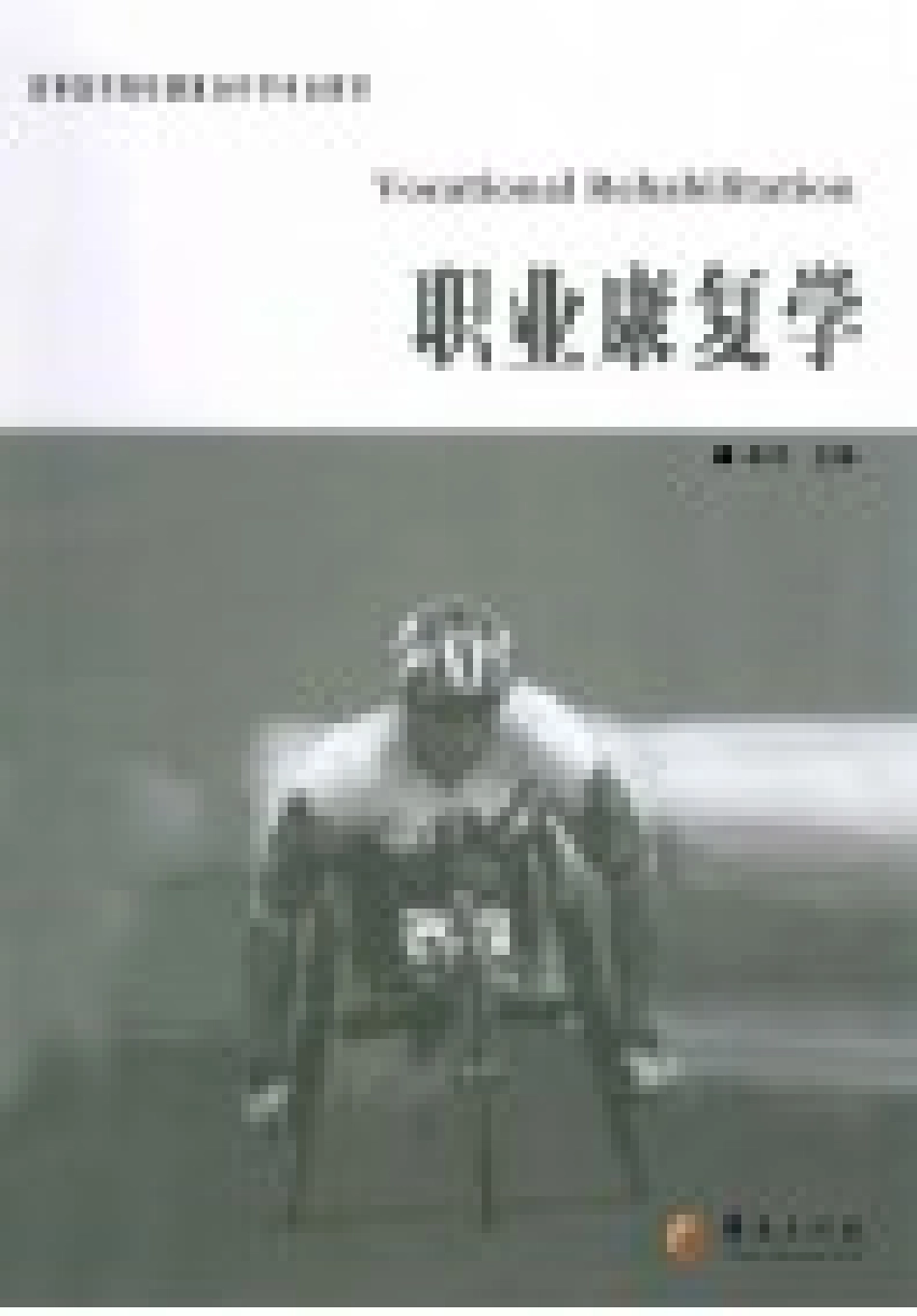 《职业康复学=VOCATIONAL REHABILITATION》_13236885.pdf_第2页