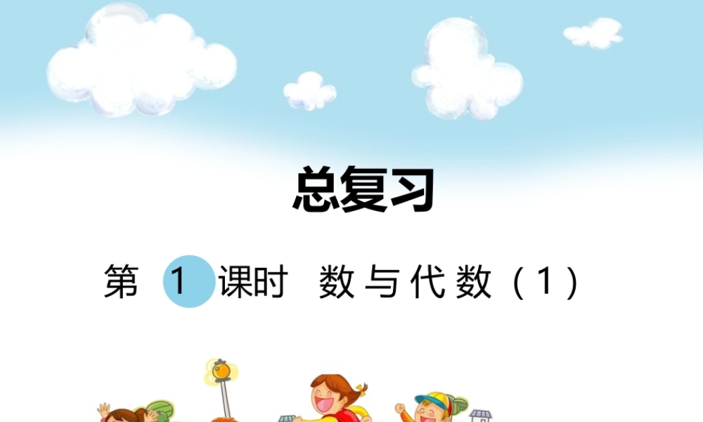 第1课时数与代数（1）.ppt