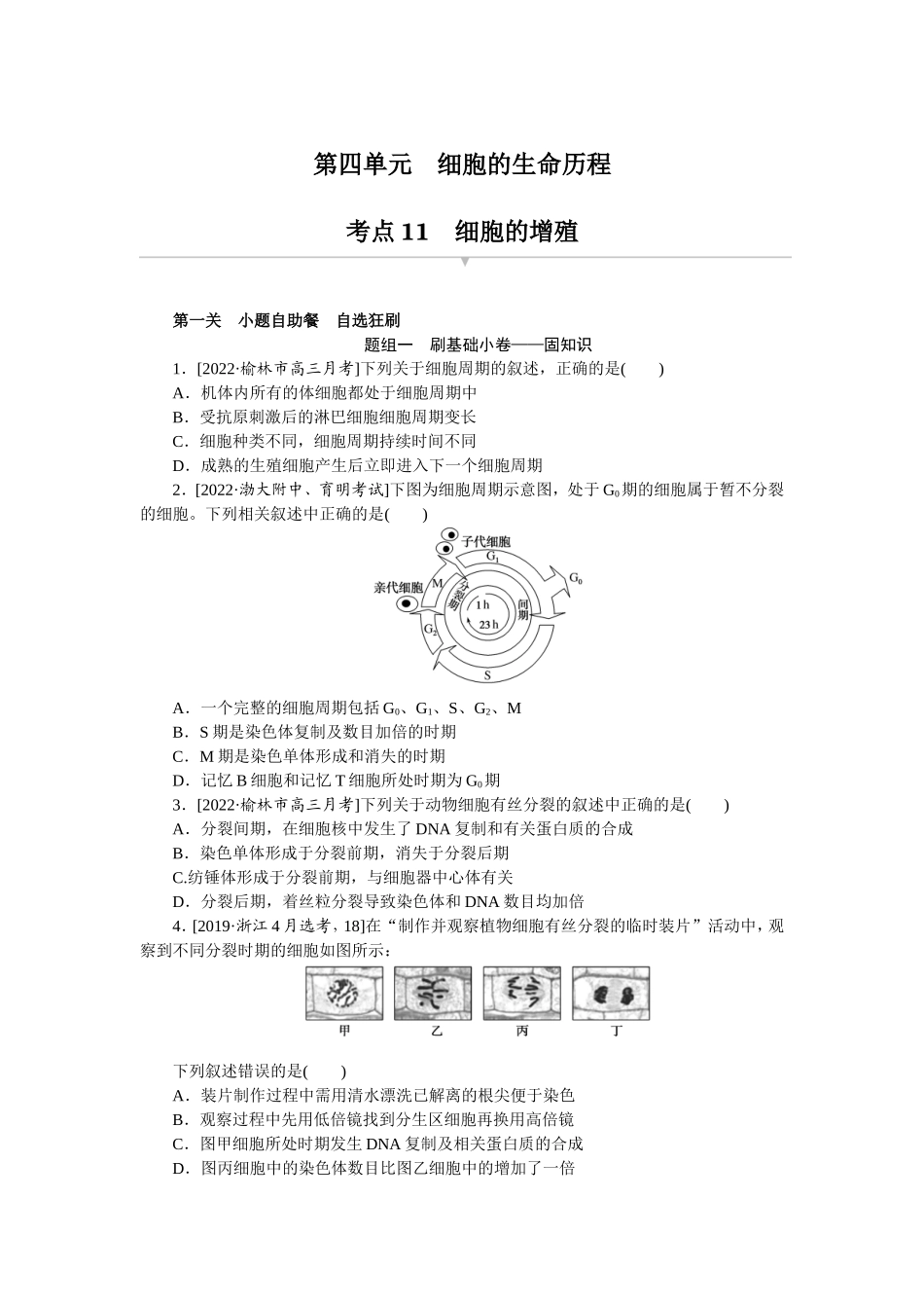 考点11　细胞的增殖.doc_第1页