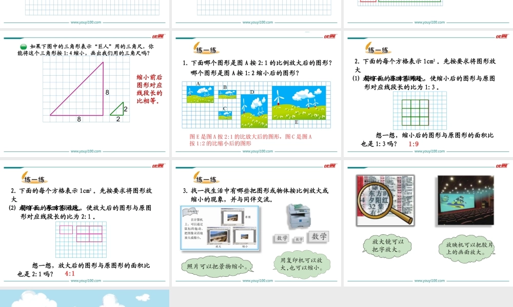 第4课时 图形的放大和缩小.ppt