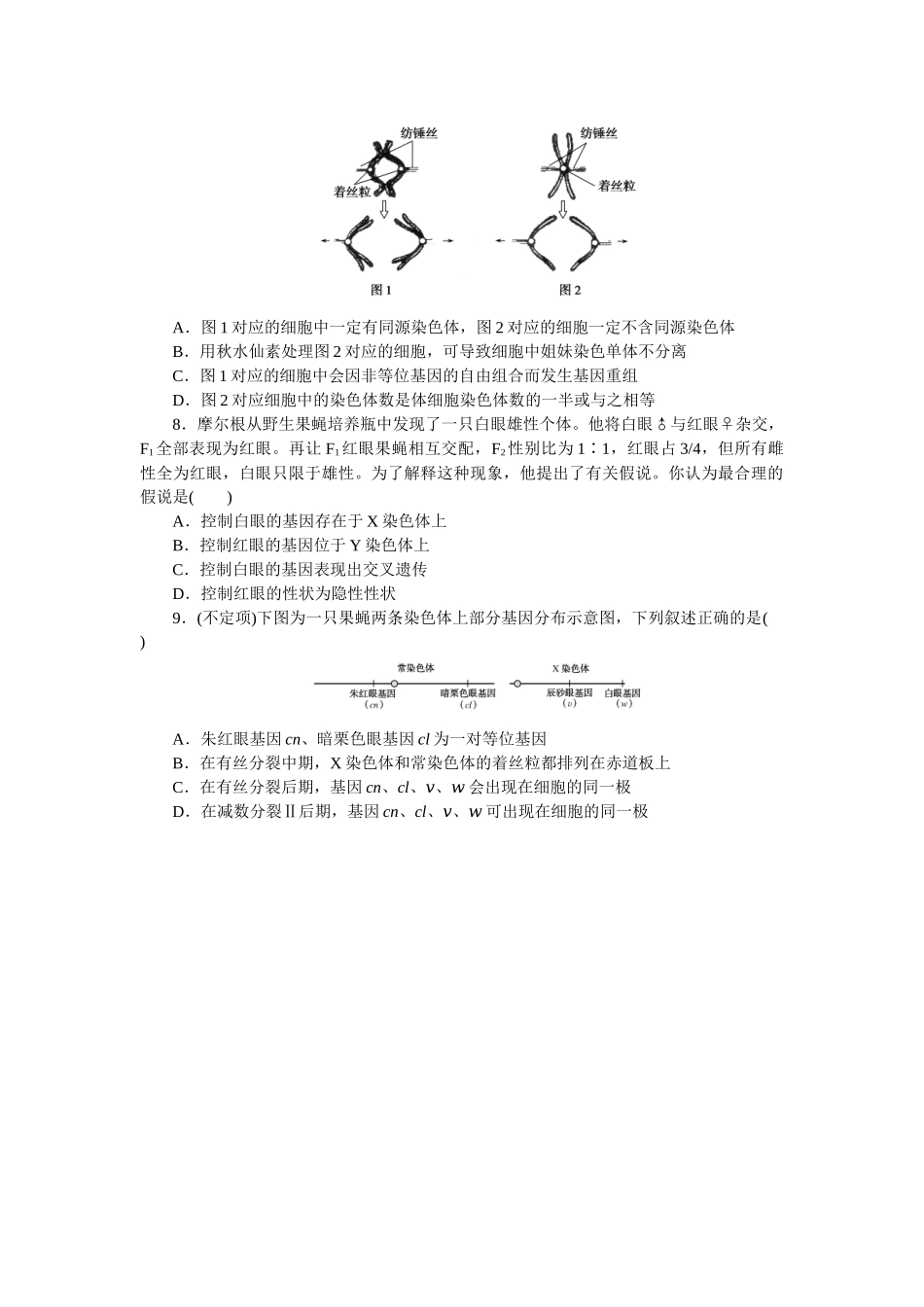 专练43　基因在染色体上.docx_第2页