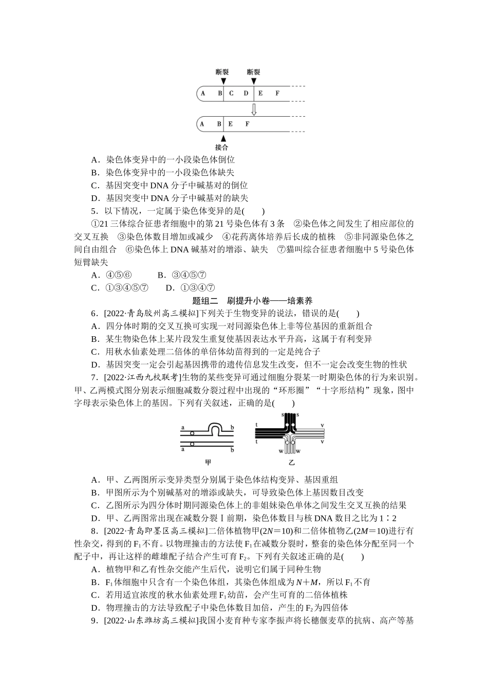考点21 　染色体变异.doc_第2页