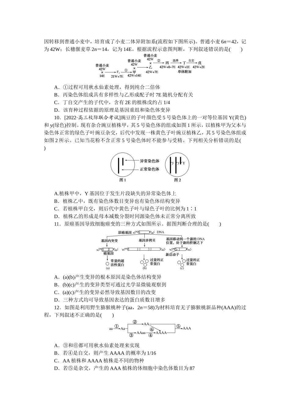 考点21 　染色体变异.doc_第3页