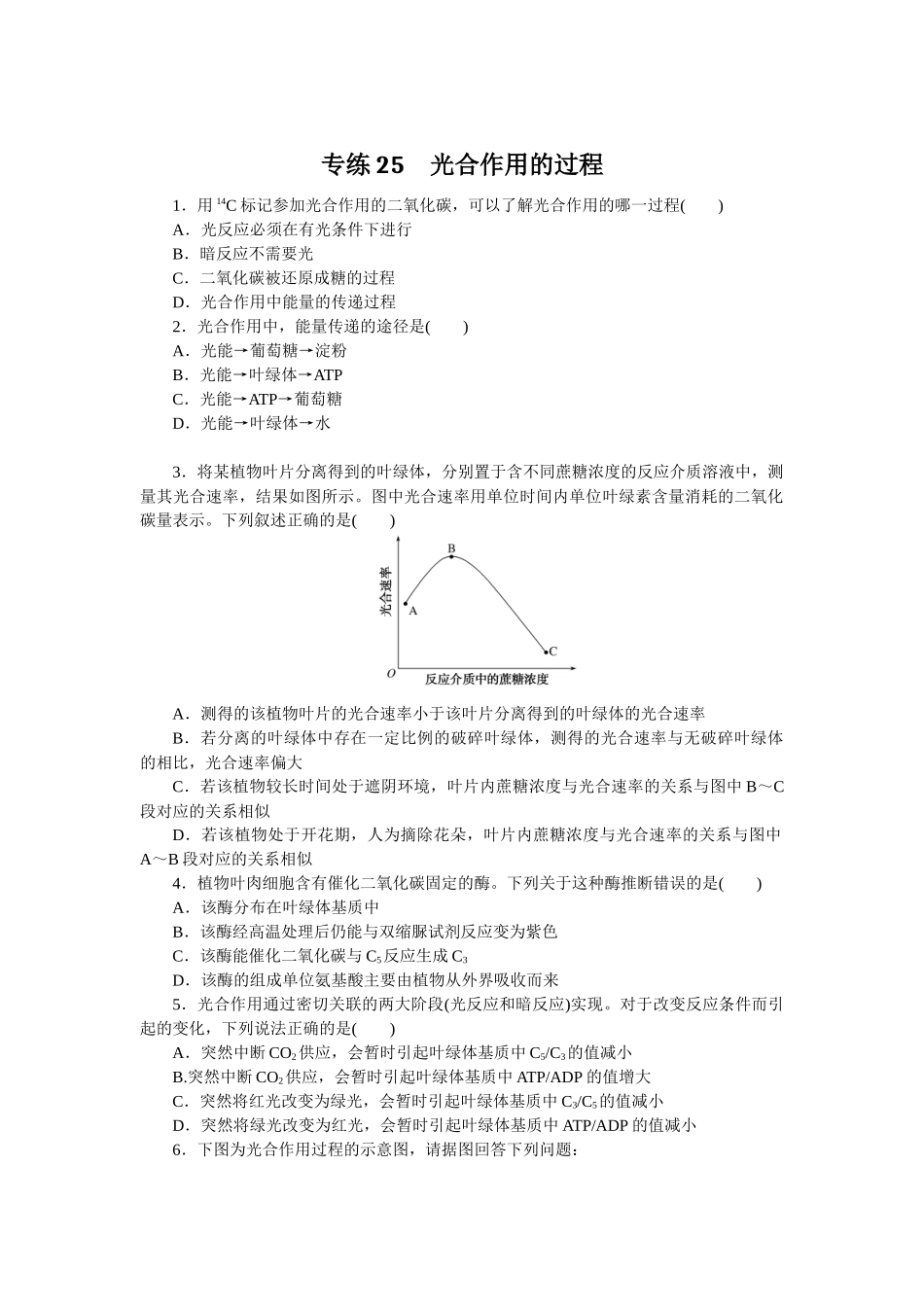 专练25　光合作用的过程.docx_第1页