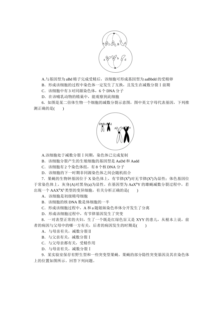 专练45　基因和染色体的关系综合练.docx_第2页