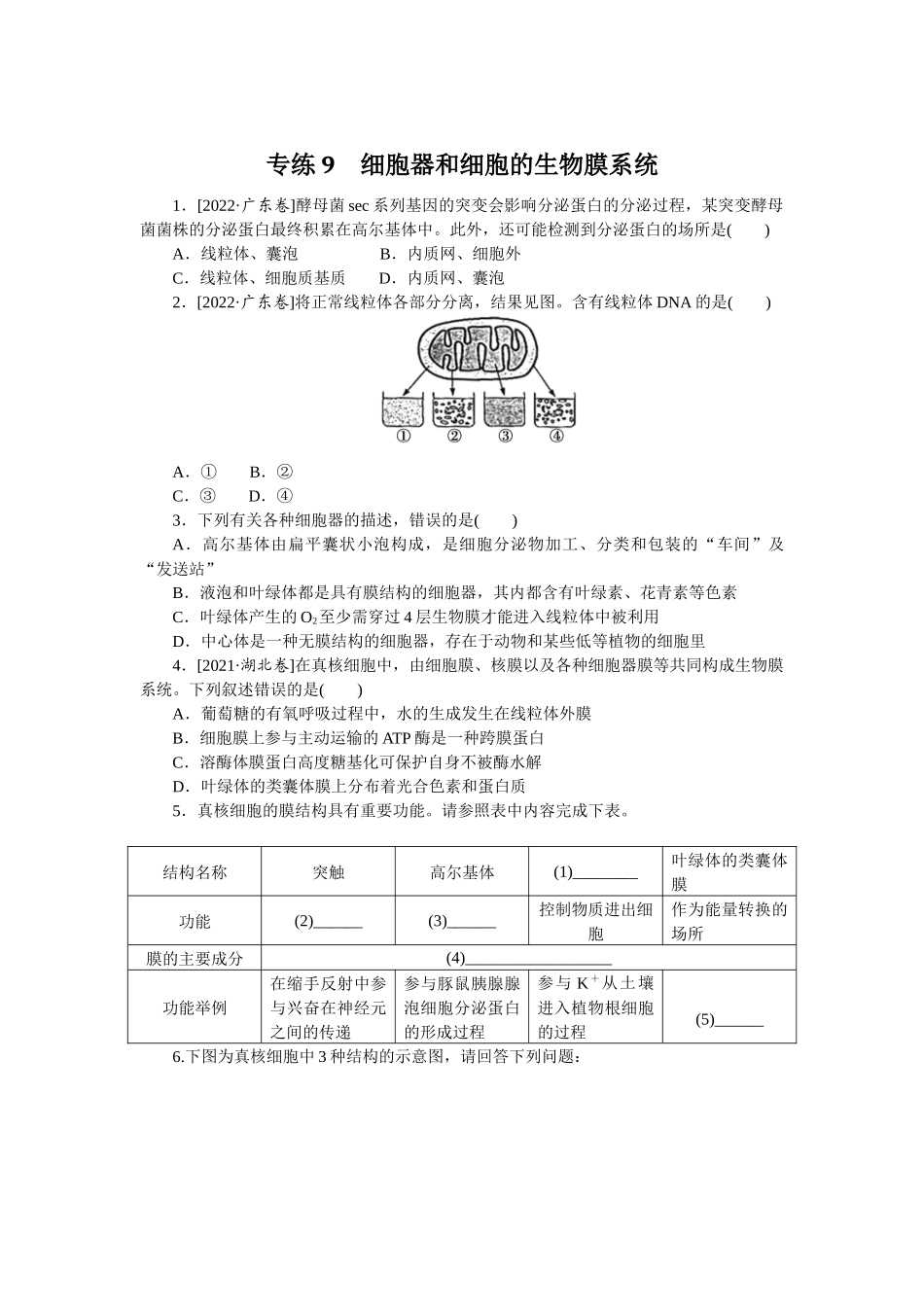 专练9　细胞器和细胞的生物膜系统.docx_第1页