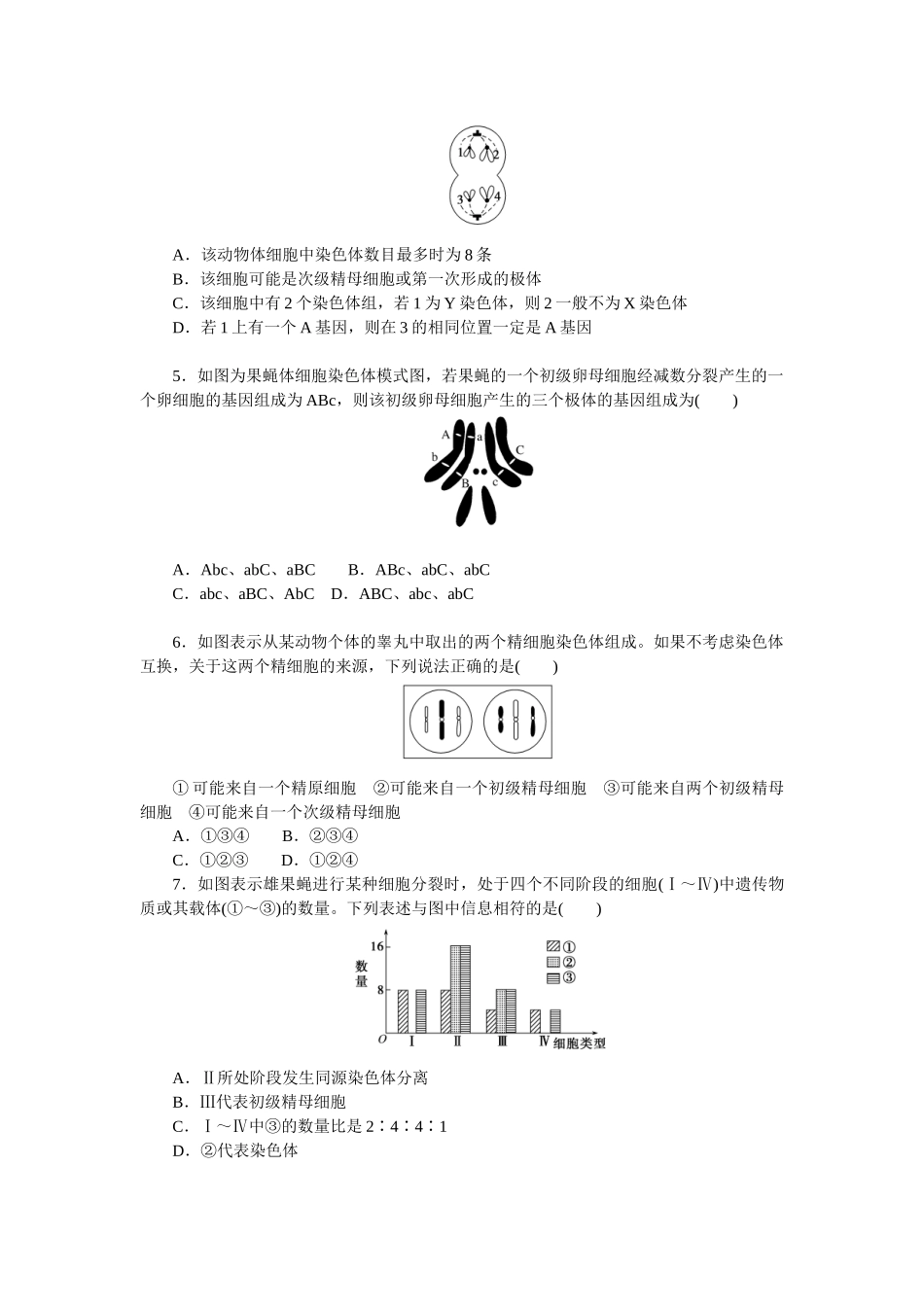 专练36　减数分裂和受精作用.docx_第2页