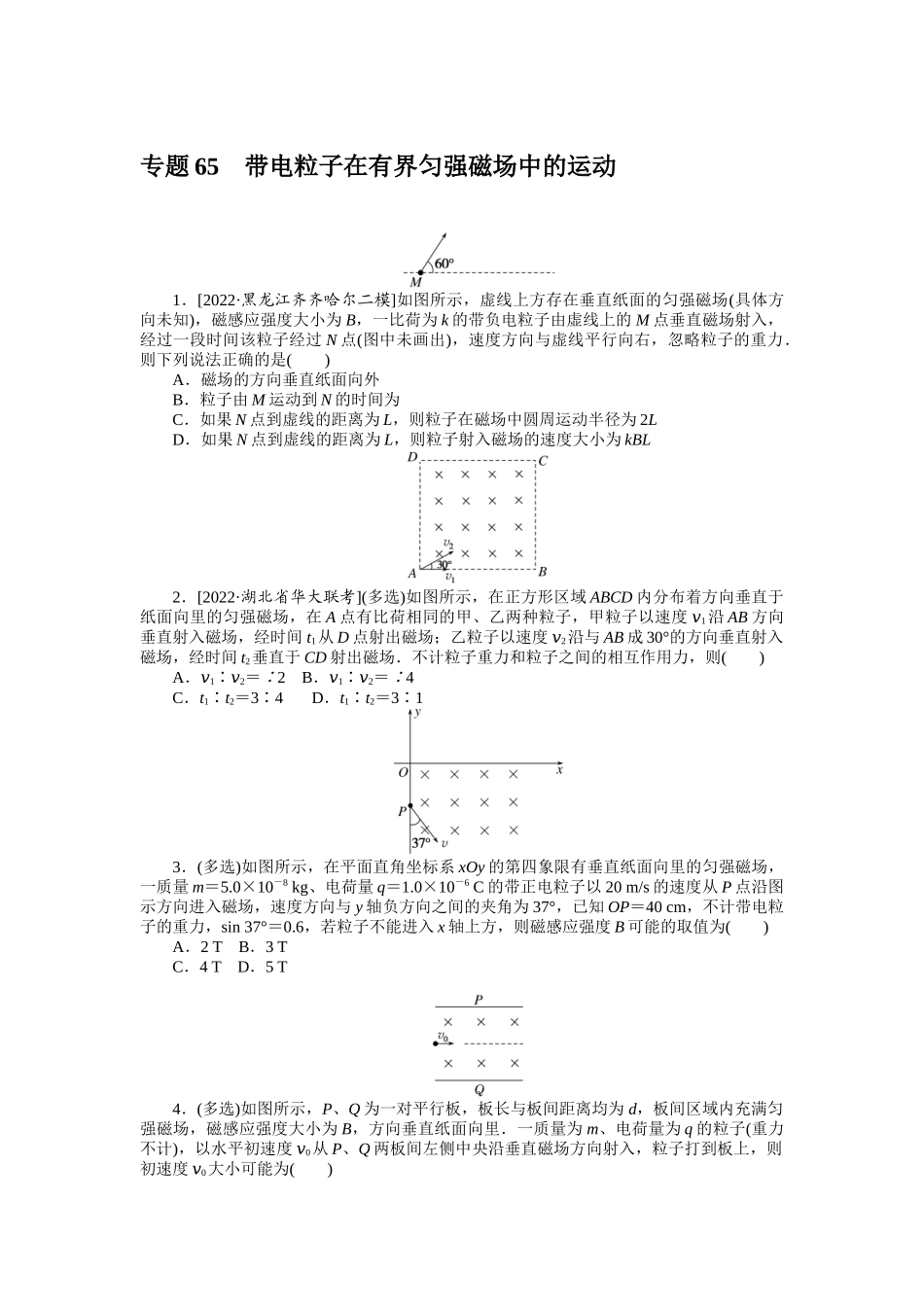 专题65带电粒子在有界匀强磁场中的运动.docx_第1页