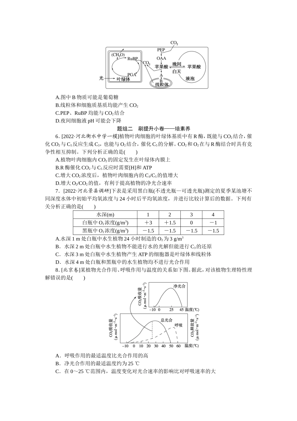 考点10　光合作用.doc_第2页