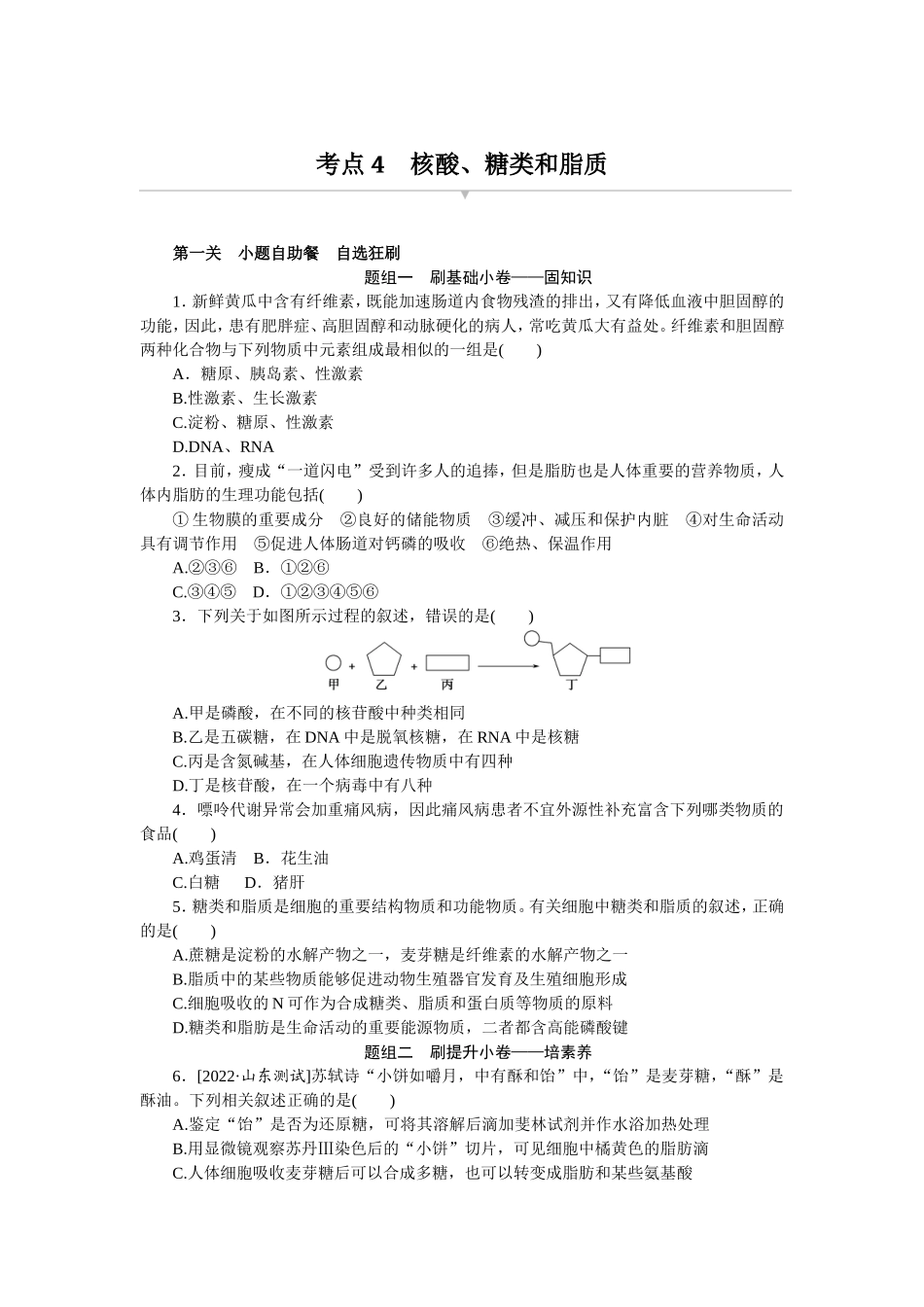 考点4　核酸、糖类和脂质.doc_第1页