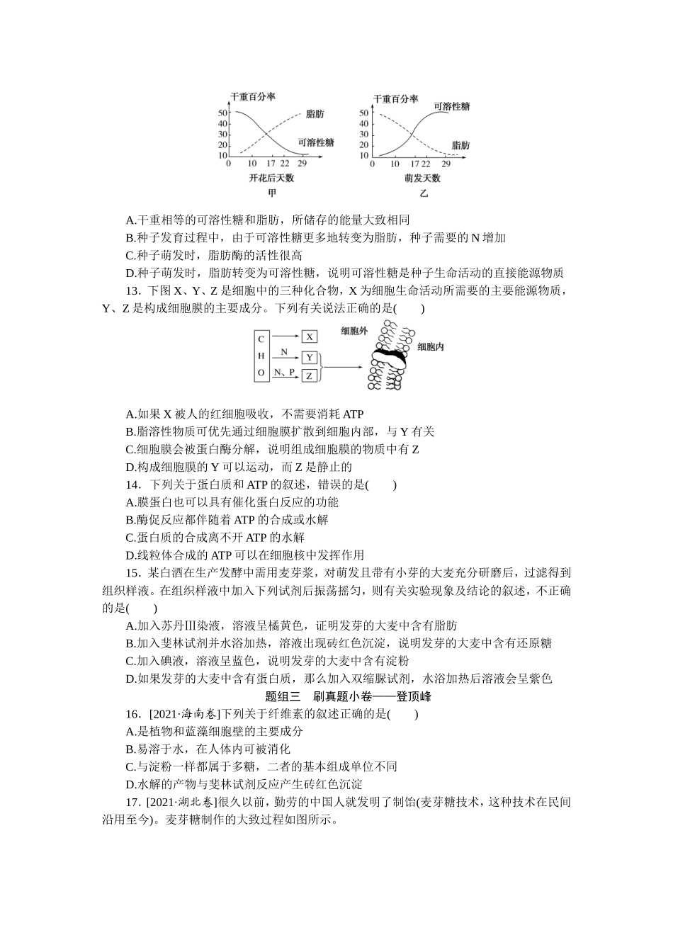 考点4　核酸、糖类和脂质.doc_第3页