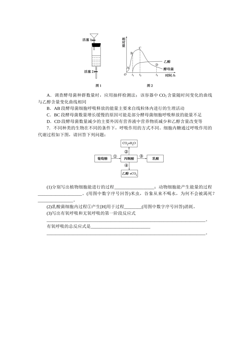 专练23　细胞呼吸(有氧呼吸与无氧呼吸).docx_第2页