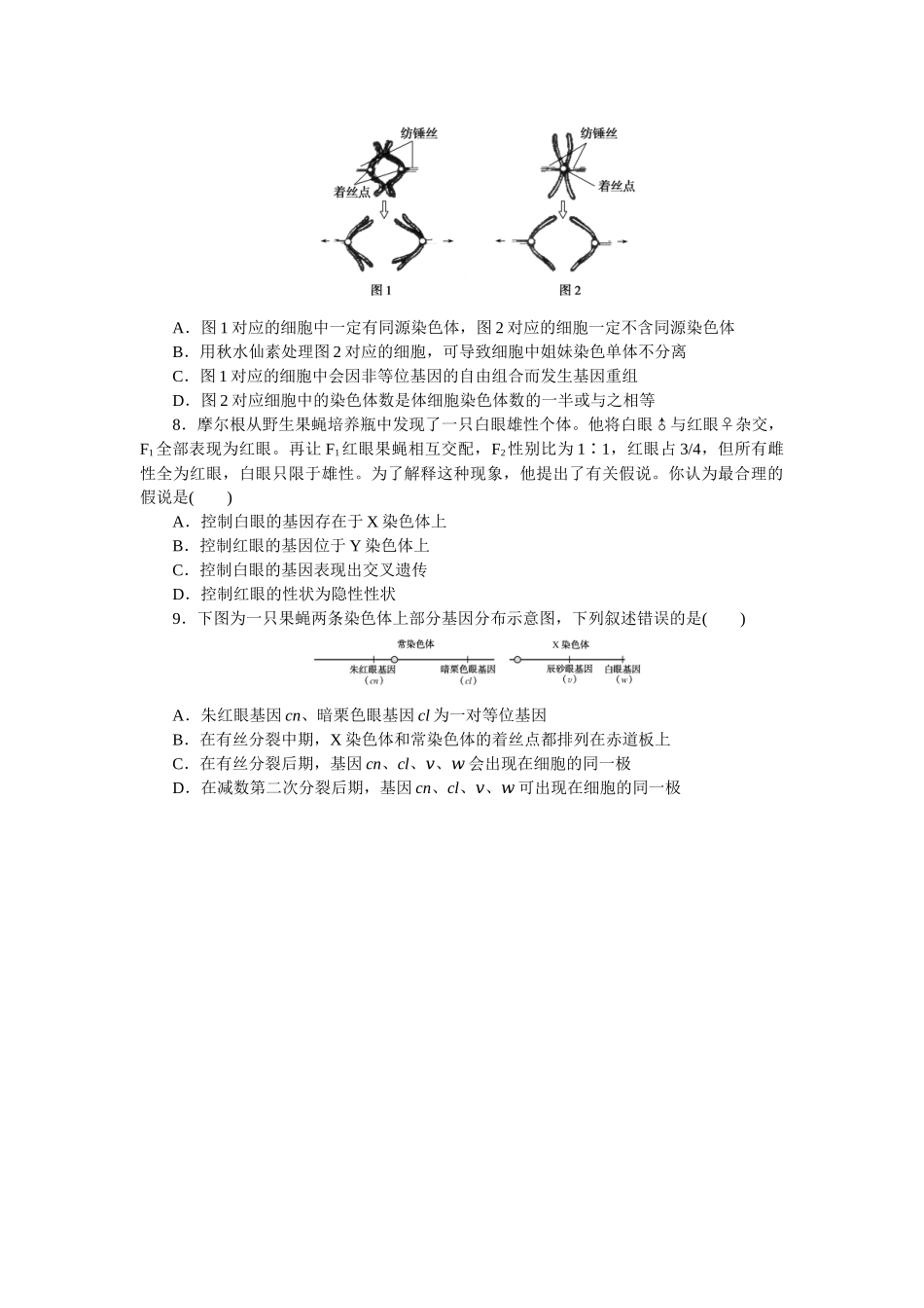 专练38　基因在染色体上.docx_第2页