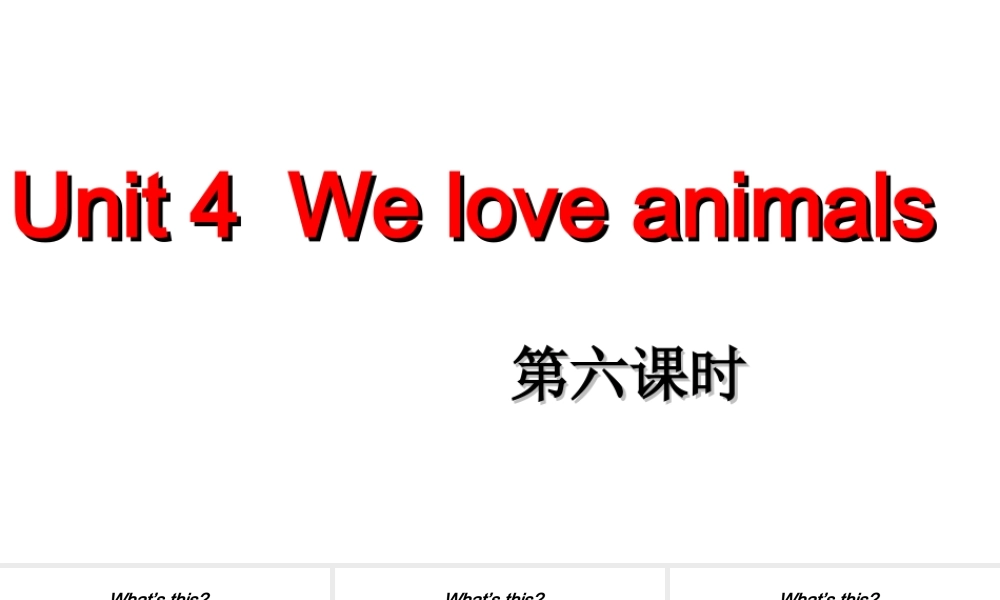 人教PEP三年级英语上册 Unit4 We love animals 第六课时课件.ppt