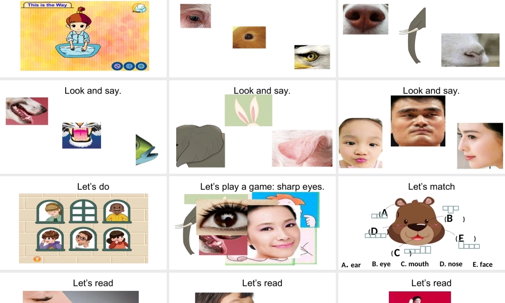 Unit 3 Look at me !第二课时课件.ppt